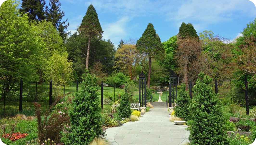 Hidden Gems: Up-and-Coming Areas